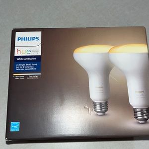 Philips hue BR30
